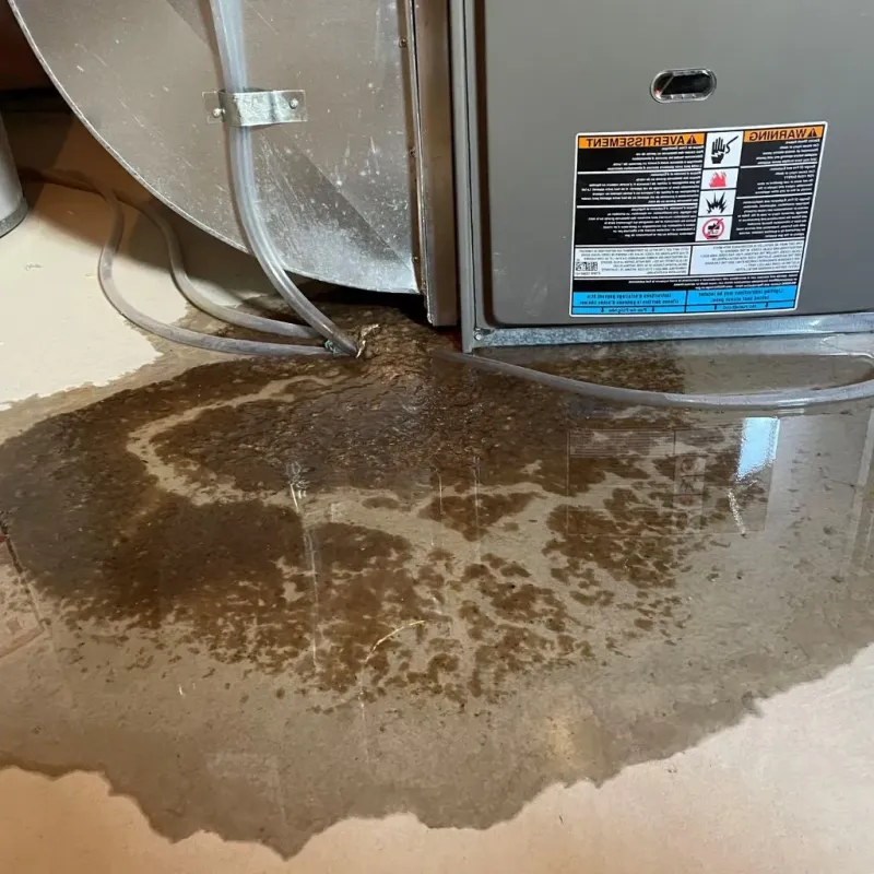 Pipe Burst and Leak Restoration in Bay Saint Louis, MS