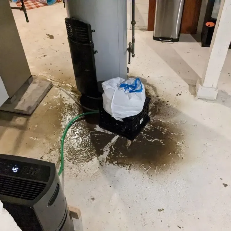 Sewage Backup Cleanup Service in Bay Saint Louis, MS